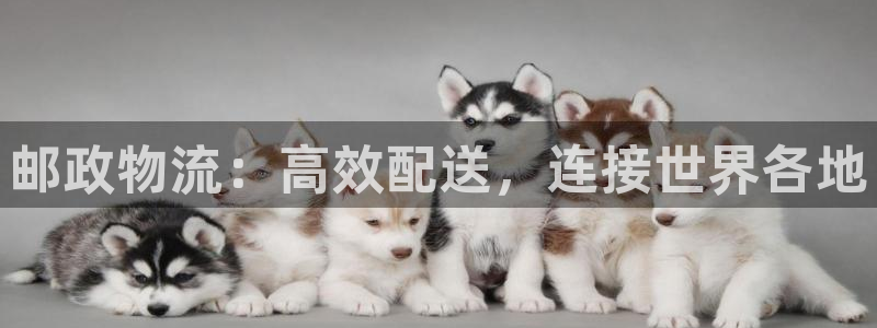 28圈如何看计划