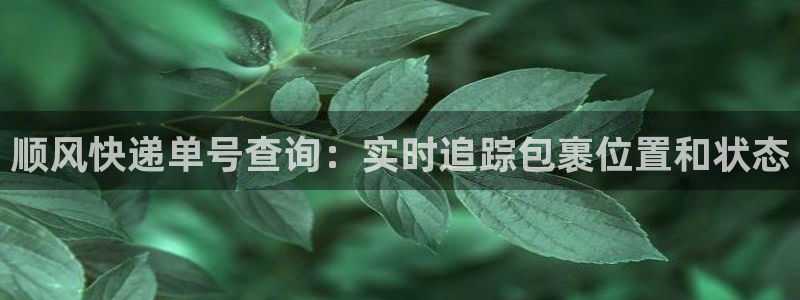28圈圈助手