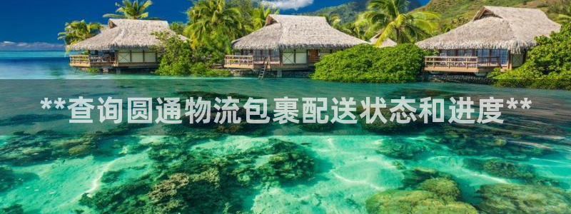 南宫28圈官网