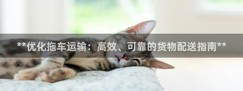 28圈麻将：**优化拖车运输：高效、