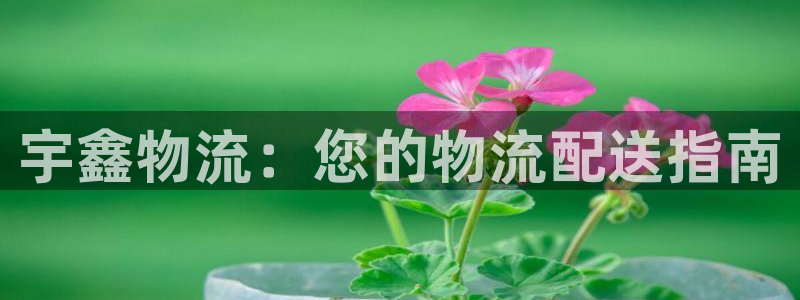 加拿大28圈是什么：宇鑫物流：您的物