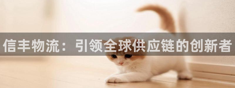 28圈下载二维码