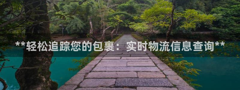 28圈为什么没有赢过一次：**轻松追