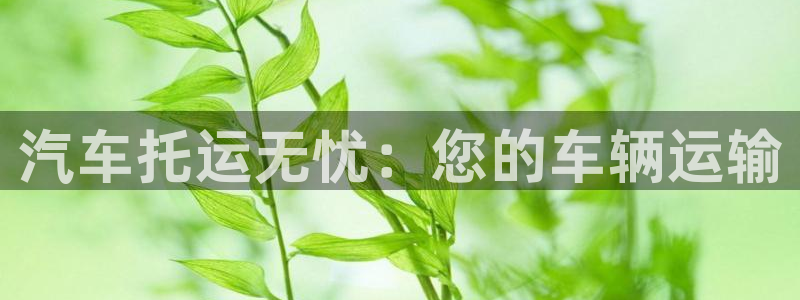28圈pg麻将胡了：汽车托运无忧：您