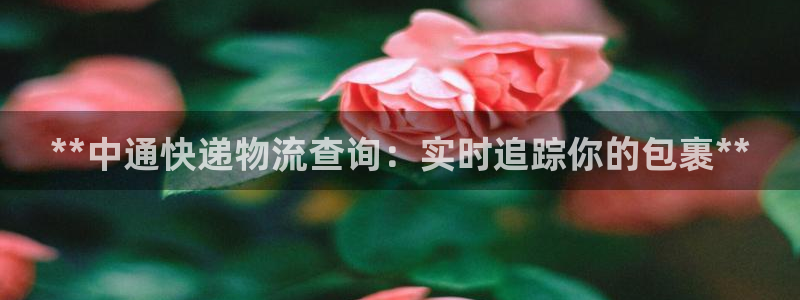 28圈比特28预测在线预测