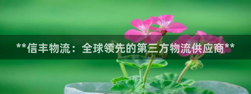 28圈链接多少：**信丰物流：全球领