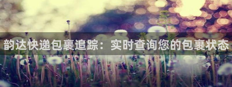 28圈人头费