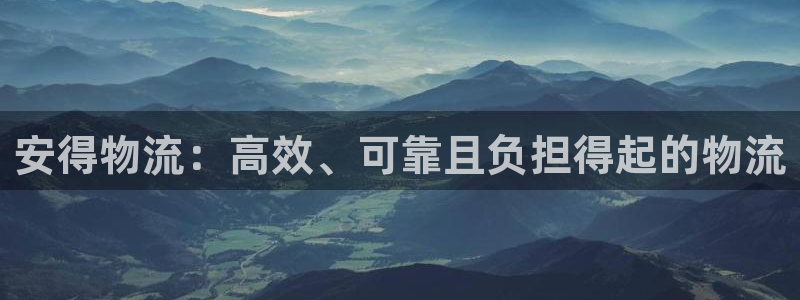 28圈注册网站链接：安得物流：高效、