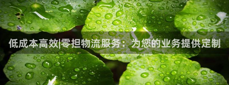 28圈网站平台