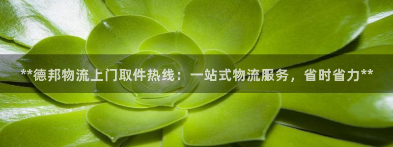 28圈预测网：**德邦物流上门取件热