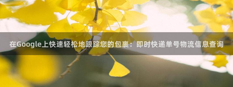 28圈是正规平台吗