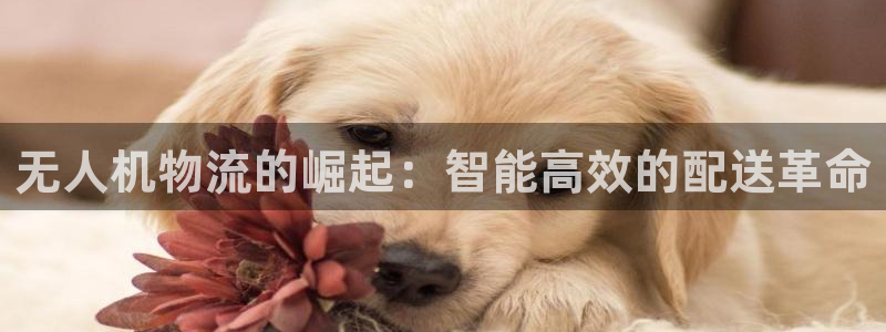 28圈如何看012路计划