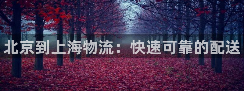 28圈退款