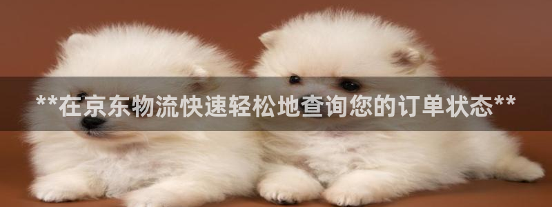 28圈软件有什么用