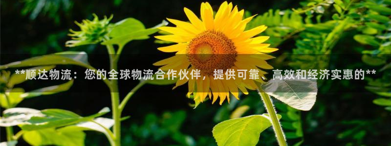 28圈比特28预测在线预测
