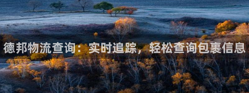 28圈那个才是充值账号
