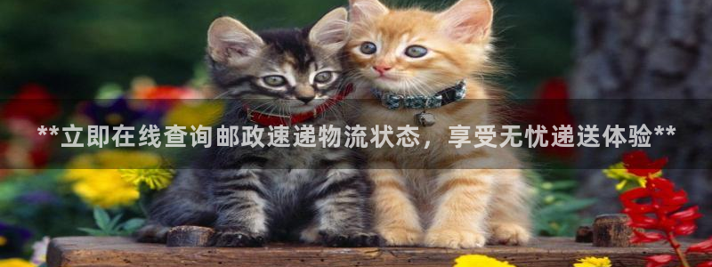 28圈加拿大技巧