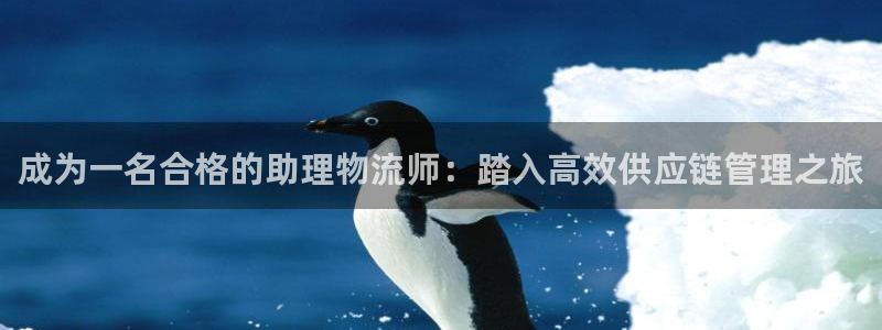 28圈那个才是充值账号
