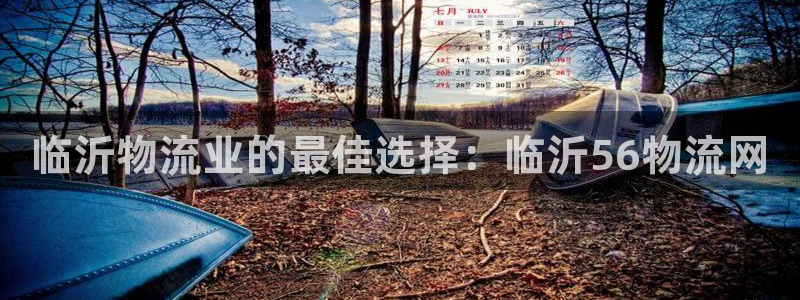 28圈如何看计划