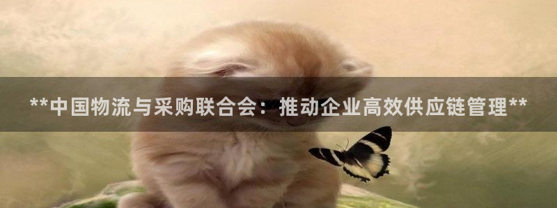 28圈哪个最赚钱