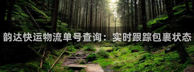 28圈初始资金密码是什么：韵达快运物