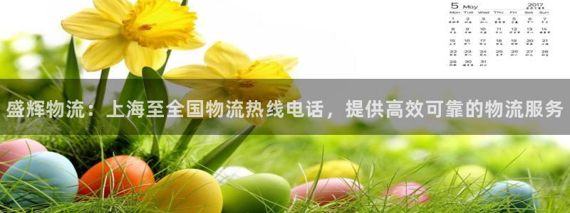 28圈官方网站是多少