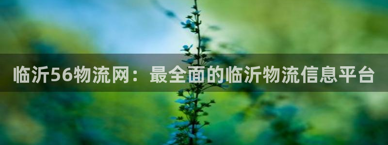 28圈分分压单双技巧