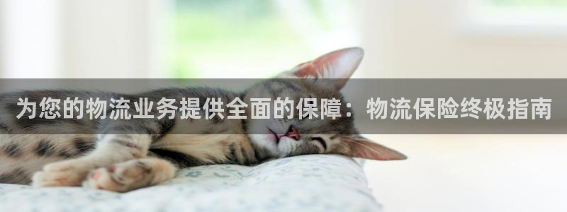 28圈官网下载链接是什么