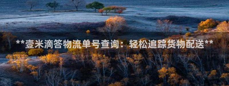 28圈ccm官网版