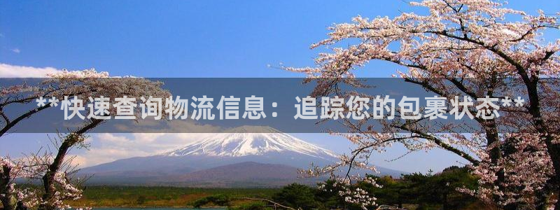 28圈链接是什么