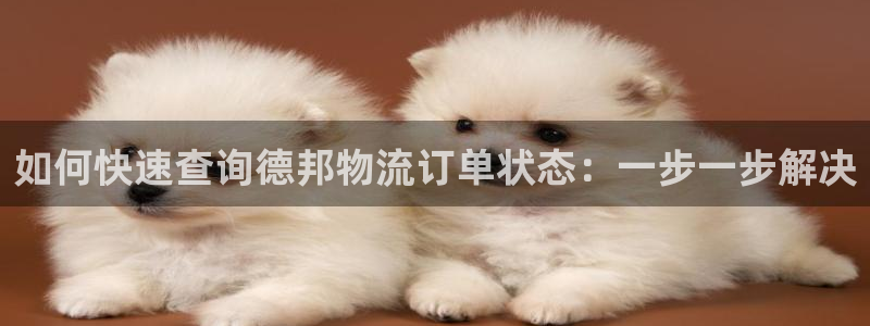 28圈正规吗?