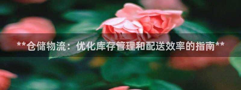 28圈官方版正版
