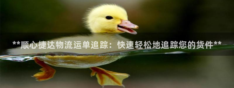 28圈pg麻将胡了
