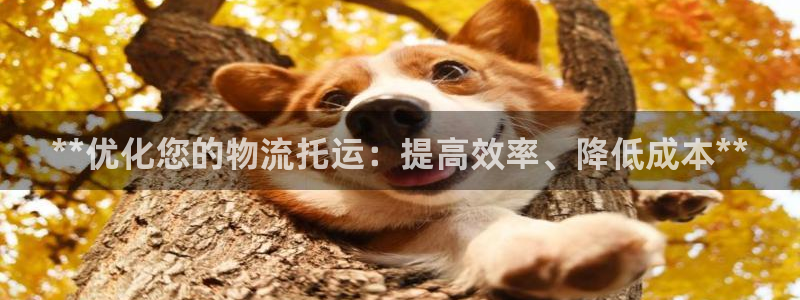 28圈为什么没有赢过一次