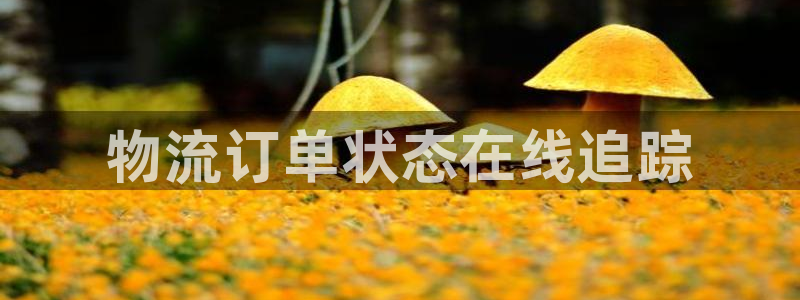 28圈