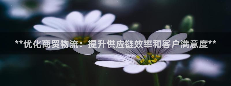 28圈黑钱