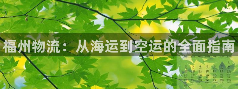 28圈下载不了