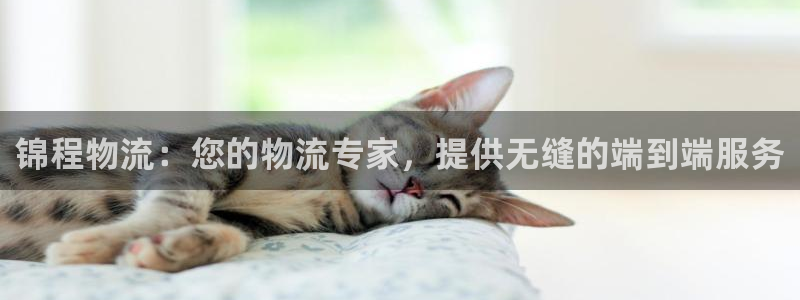 28圈可靠吗