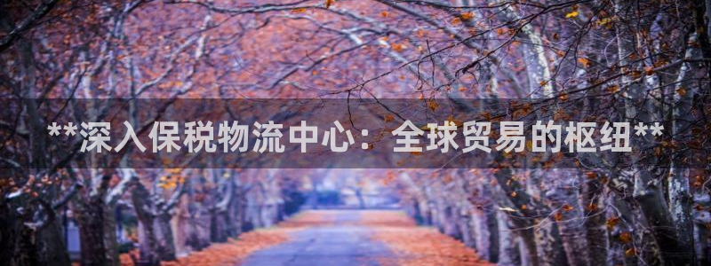 28圈p扣除是什么意思