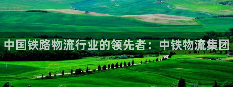 28圈预测加拿大师准