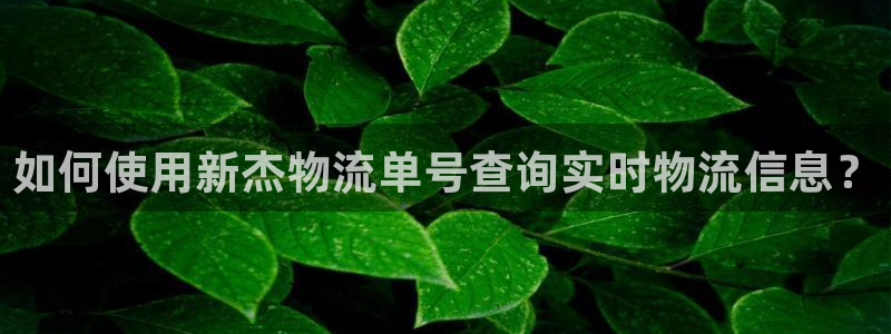 南宫28圈官网版