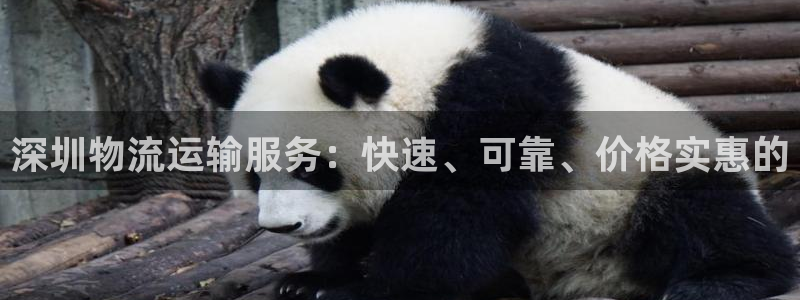 28圈官方官网