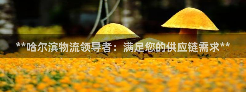 28圈正规吗?