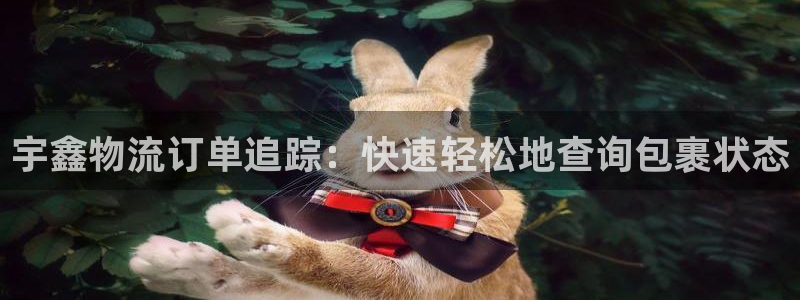 28圈自行车图片