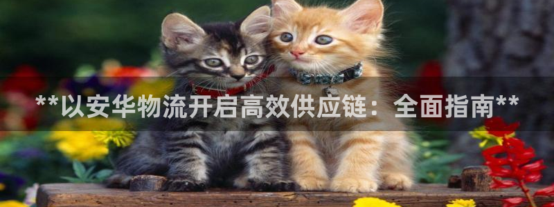 28圈怎么申请代理