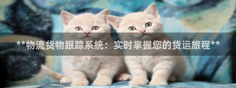 28圈官网注册：**物流货物跟踪系统