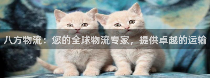 28圈登录网：八方物流：您的全球物流