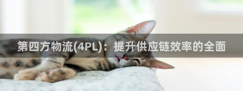 28圈娱乐官网网页：第四方物流(4P