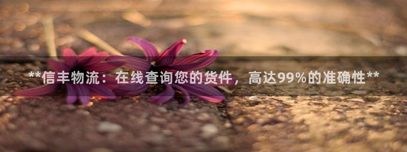 28圈pg麻将胡了