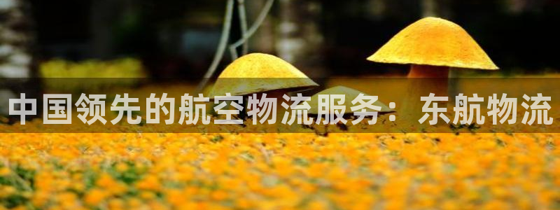 28圈怎么注册下载：中国领先的航空物